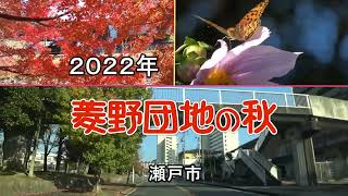 2022年「菱野団地の秋」瀬戸市