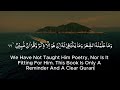 Most Beautiful Surah Yaseen/Yasin Best Ever Recitation With English Translation | Depression Remedy