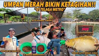 29 EKOR BABON DAN JUARA !! BUTUH KANG PIJAT NIH !!