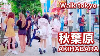 【4K,ASMR】メイドタウン秋葉原を散歩！オタクが大集合！💗✨🚶‍♂️(Tokyo Japan🔴)