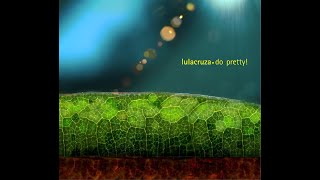 LULACRUZA - Do Pretty! (2006) FULL ALBUM - Electronic, Folk, World, \u0026 Country, Downtempo, Folk