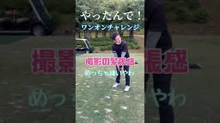 奇跡のショット⛳️ショートホールで起こったハプニング⛳️【ゴルフラウンド】おっさん達が歓喜する衝撃の結果とは？？⛳️#short #shorts #ゴルフ