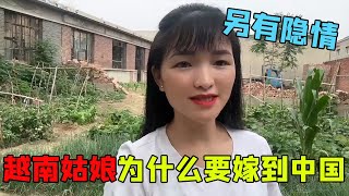 Why do Vietnamese girls marry to China? Is it because China is rich? There is another hidden story