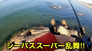 超浅瀬の足元で起こるボイルにルアー投げたらヤバかった