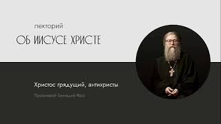 Христос грядущий, антихристы. 24.05.2013 г.