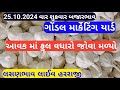 આજના લસણ ના બજાર ભાવ ગોંડલ | lahsun ka bhav Gondal | Gondal market yard na bajar bhav 25/10/2024