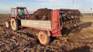 Implementation Of Nutrient-Rich Sheep Manure On Our 2022 Walnut Plantation!