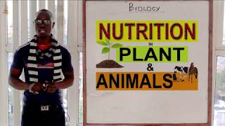 10. Nutrition in Plants and Animals Biology Form 1