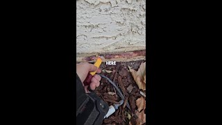 Rust Wires Exposed Electrical Nightmare Unveiled