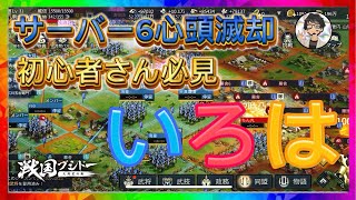 #19【戦国ブシドー】シーズン1（2024年06月07日）戦争のいろは解説‼️初心者さん必見🔰　#戦国ブシドー