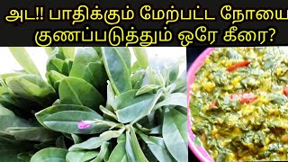 பசலைக் கீரை கூட்டு.#weightlossrecipe#BENIFITSOFSPINACH#NUTRITIONDIARY#HOMEMADEFOODRECIPES.