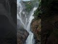 Breathtaking view of Dudhsagar from train.😍🚂... more #water falls whatsapp status