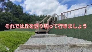 山形県長井市に新しくキャンプ場がオープン！「ながいピオニーの森」