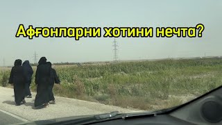 Афғонларнинг хотини нечта?