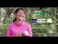 Smart Agriculture in Cambodia