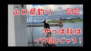 【山口県 釣り 秋イカ】チームで秋イカを釣りに来てみた(前編)