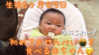 【生後6ヶ月と5日】初めておせんべいを食べる赤ちゃん【りあっぴ 成長記録】