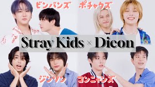 【日本語字幕】Stray Kids × Dicon の記念にプチゲーム！