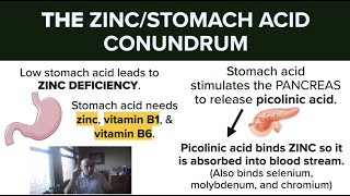 The Zinc/Stomach Acid Conundrum — Fighting Chronic Viral and Bacterial Infections With Zinc