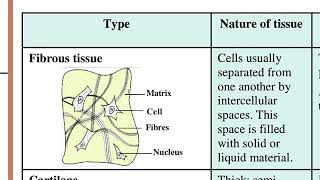 NIOS- 10th Science - Chapter 21 - Building Blocks of Life - Cells and tissues - Part 7/final