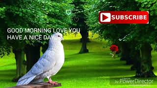 Best wishes good morning WhatsApp status video||good morning video||by Rajeev Singg creation