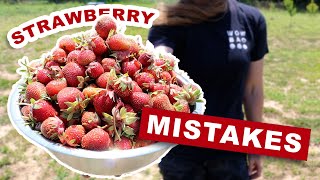 3 Strawberry Growing Mistakes To Avoid At All Cost | HARVEST, Runners, Varieties & Weeds | Gardening