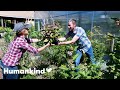 How this urban farm is feeding those in need fresh and free food | Humankind