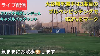 【ライブ配信】大谷翔平選手は3度目のブルペンピッチングで153㌔をマーク⚾️気ままにお散歩🐶します💫Shinsuke Handyman がライブ配信中！