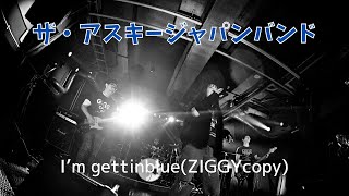 ザ・アスキージャパンバンド/I'mgettinblue（ZIGGY copy）