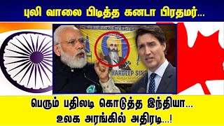 புலி வாலை பிடித்த கனடா பிரதமர்... பெரும் பதிலடி கொடுத்த இந்தியா... உலக அரங்கில் அதிரடி...!