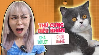 Một ngày bị thú cưng điều khiển. LND từ chối Misthy thẳng mặt?! BONUS STAGE