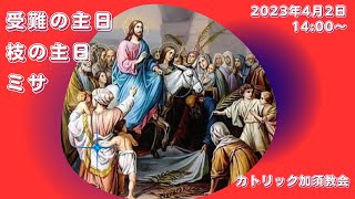 カトリック加須教会 　受難の主日［枝の主日］ミサ　2023年4月2日　14:00～