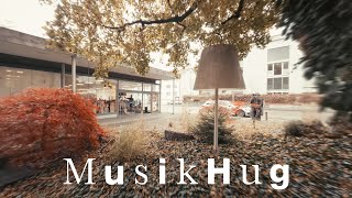 Ein Flug durch die Filiale Allschwil | Musik Hug