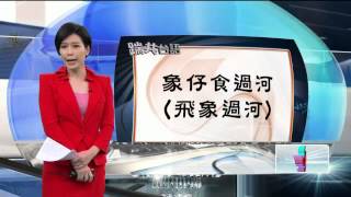 踹共台語　「象仔食過河」