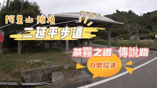 二延平步道 茶霧之道 傳說路 O型縱走 阿里山 隙頂