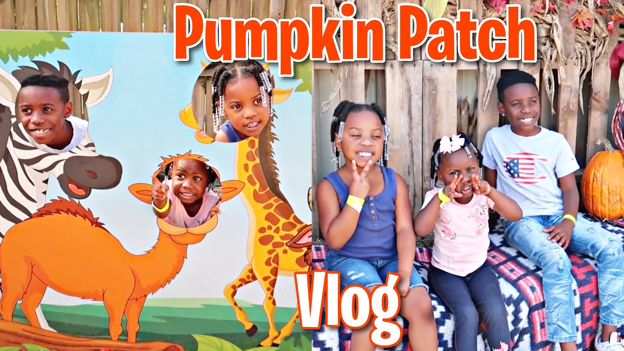 Pumpkin Patch Vlog Youtube