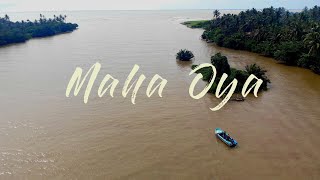 Maha Oya River | Meets the Sea | Stunning Drone Shots \u0026 Scenic Boat Ride in Kocchikade | Negombo