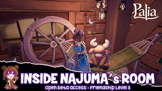 Palia - Inside Najuma's Room - Friendship Level 3