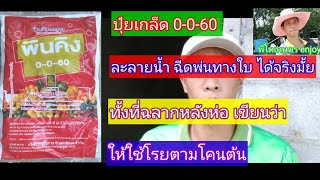 ปุ๋ยเกล็ด 0-0-60 ฉีดพ่นทางใบ ได้จริงมั้ย? ทั้งที่ฉลากเขียนว่า ให้โรยโคนต้น