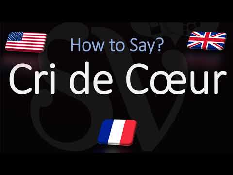 What does cri de coeur mean in Latin?