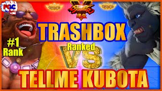 【SFV】 Trashbox (Birdie) VS tellme kubota (Blanka)【スト5】トラボ（LP1位バーディ）対  ブランカ 🔥FGC🔥