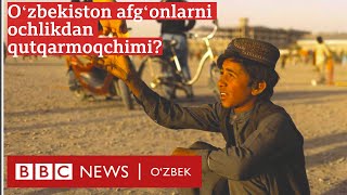 Ўзбекистон Афғонистонга нега ёрдам бериб келяпти? - BBC News O'zbek