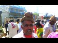 the cute sindnur red sheeps @agrianimals the sheep and goats market at tumakuru apmc yard part 5