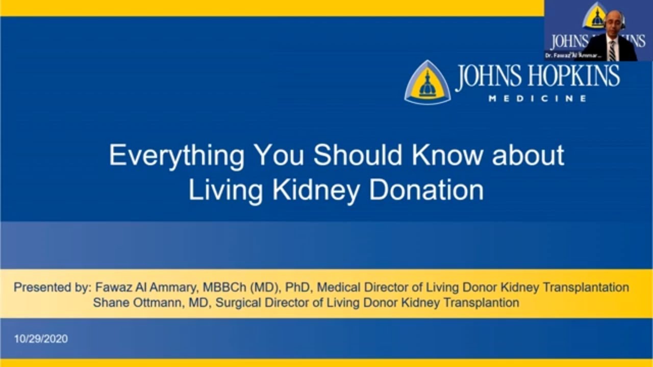 Living Kidney Donation: Everything You Should Know - YouTube