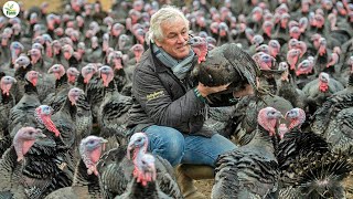 Incredible Turkey Farm - How American Farmer Raise millions of turkey 🍗 - Modern Processing Factory