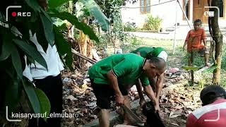 BERKORBAN SEJAK DINI kaisaryusuf_elmubarok