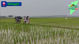 திருமானூர் அருகே 20 ஏக்கர் ஏரி கண்டுபிடிப்பு