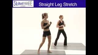 Slimtree.com - Cardio Kickboxing Workout