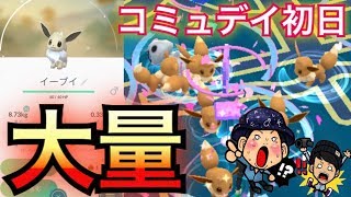 【ポケモンGO】イーブイコミュニティデイ初日！色違い何体獲れる！？【とっておき】