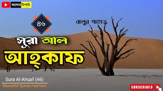 046 আল আহক্বাফ | Surah Al Ahqaaf | beautiful Quran reaction | alor Dishari 1302